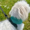 Active Canis Cooling Bandana