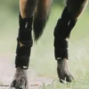 Back on Track Dixie Hasebandage