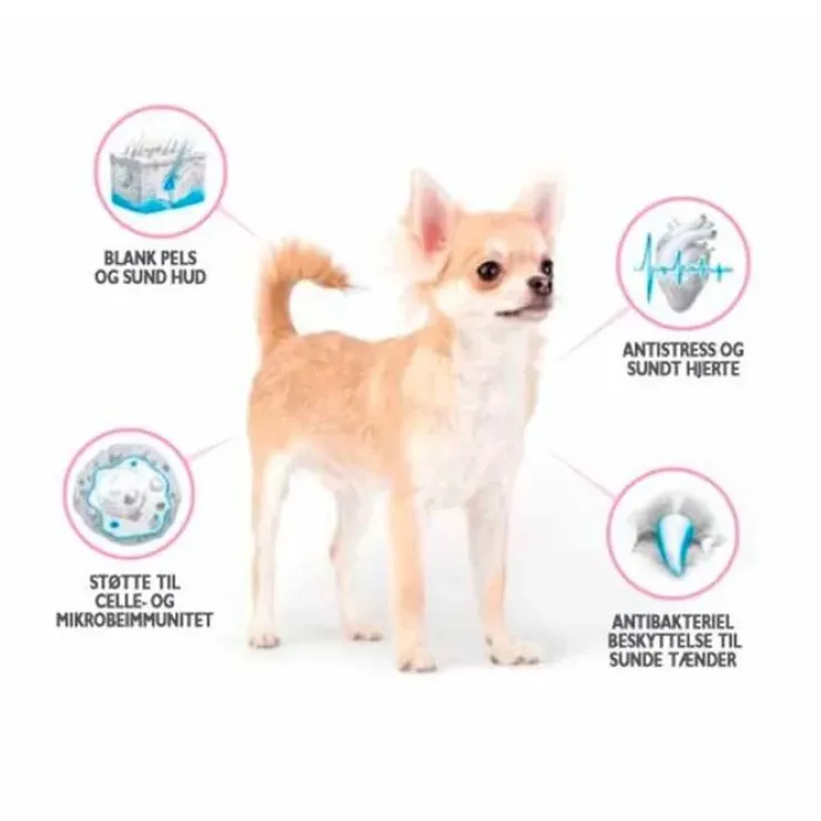 Brit Care Mini Grain Free Puppy - Lamb | Tørfoder