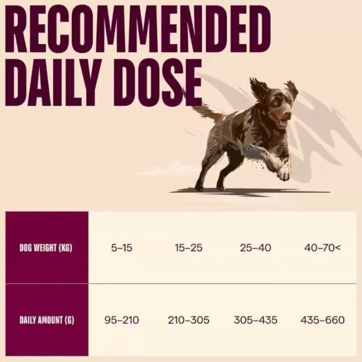 Carnilove Active Dog Venison, Reindeer & Wild Boar, Adult All Breeds | Tørfoder