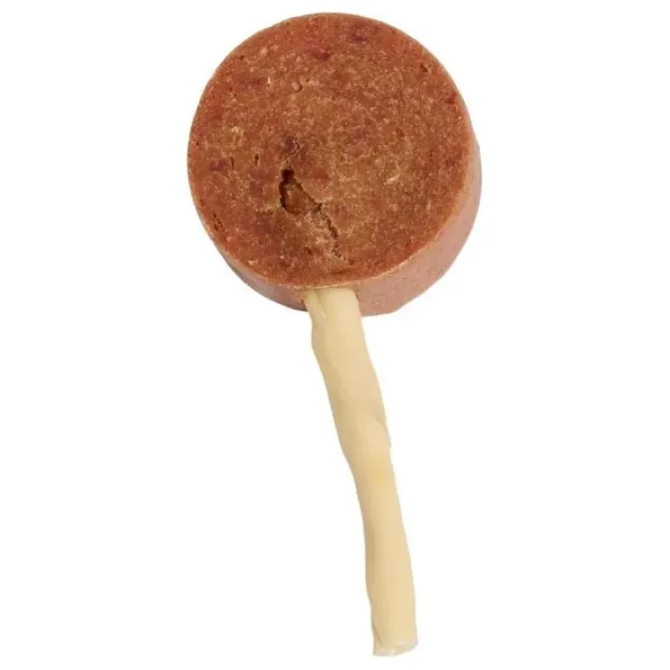 Companion Lollipop|And