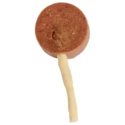 Companion Lollipop And | 60 stk. STORKØB