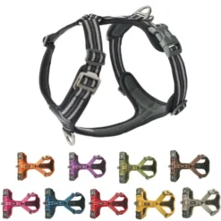 DOG Copenhagen Comfort Walk Air™ selen | Step in