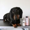 Dogman Øjenrens 50ml