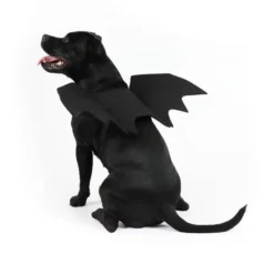 Flagermusvinger til hunde