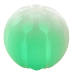 Glow Streak LED hundebold