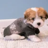 Grå hundesweater med snefnug
