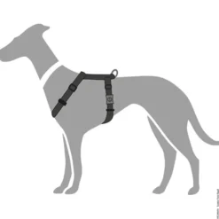 Hunter London Vario Rapid Hundesele