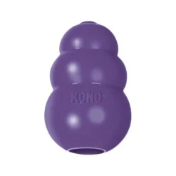 Kong Senior