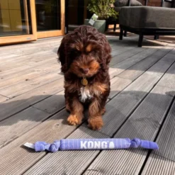 KONG Signature Crunch Rope Puppy