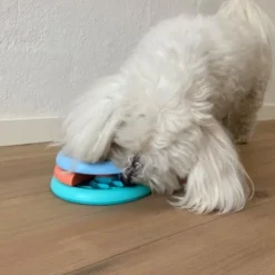 Lickin Layers Puppy