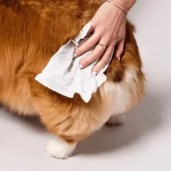 Natural Dog Company Grooming Wipes | 50 stk
