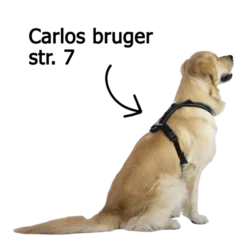 Non-Stop Dogwear Line Harness 5.0 | OUTLET