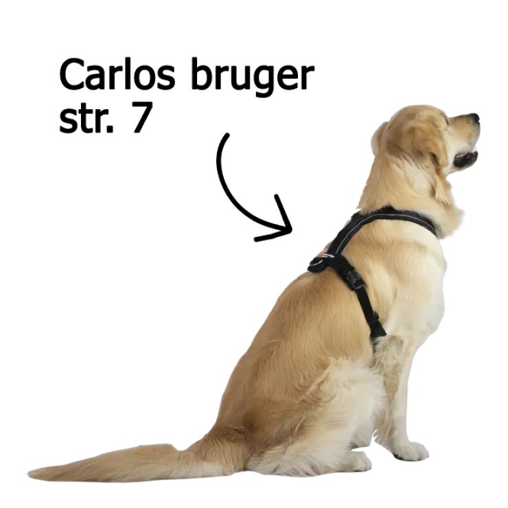 Non-Stop Dogwear Line Harness 5.0 | OUTLET