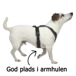 Non-Stop Dogwear Line Harness 5.0 | OUTLET