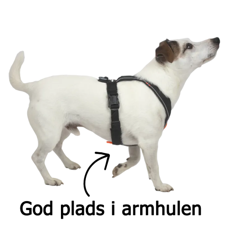 Non-Stop Dogwear Line Harness 5.0 | OUTLET