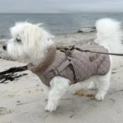 Ollipet Aarhus Hundejakke