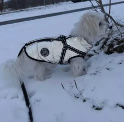 Ollipet Arctic Explorer Refleks | Vinterdækken