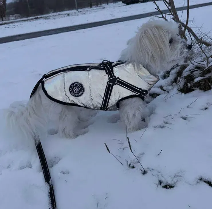 Ollipet Arctic Explorer Refleks | Vinterdækken