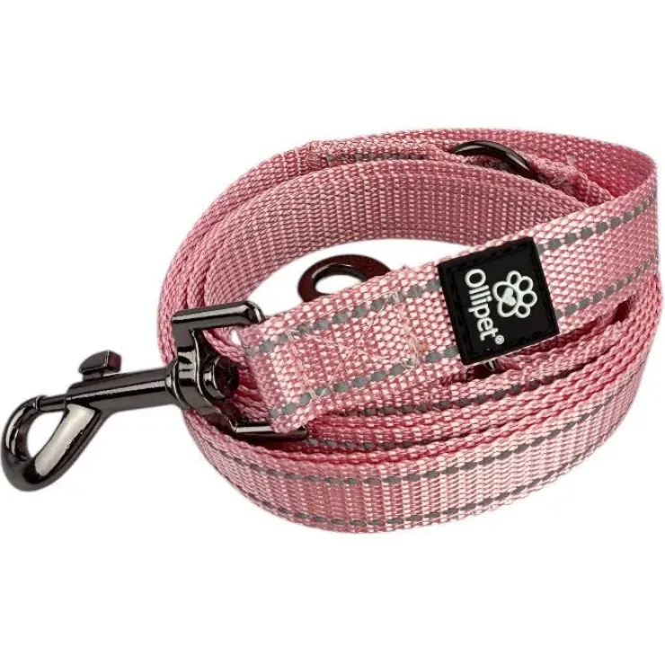 Ollipet Arctic Explorer | Refleks Dressurline