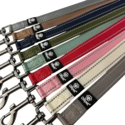 Ollipet Arctic Explorer | Refleks Dressurline
