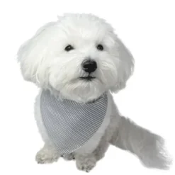 Ollipet Bandana til hunde | OUTLET