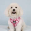 Ollipet City Lux Hundesele | Hearts Of Love | OUTLET