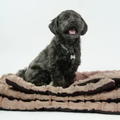 Ollipet Cozy dream madras
