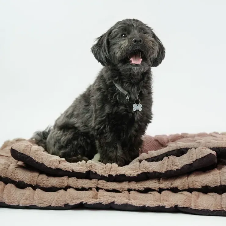 Ollipet Cozy dream madras