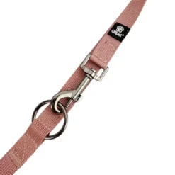 Ollipet | Dressurline