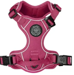 Ollipet For Wagging Tails | Adventure Hundesele 2.0