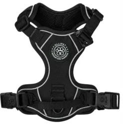 Ollipet For Wagging Tails | Adventure Hundesele 2.0