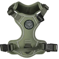 Ollipet For Wagging Tails | Adventure Hundesele 2.0