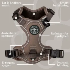 Ollipet For Wagging Tails | Adventure Hundesele 2.0