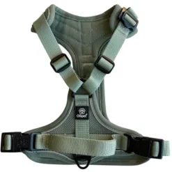 Ollipet For Wagging Tails | Airflex hundesele