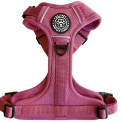 Ollipet For Wagging Tails | Airflex hundesele