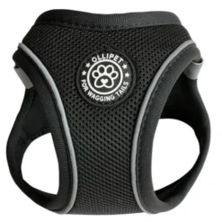 Ollipet For Wagging Tails | Step in Sele
