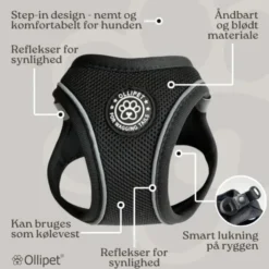 Ollipet For Wagging Tails | Step in Sele