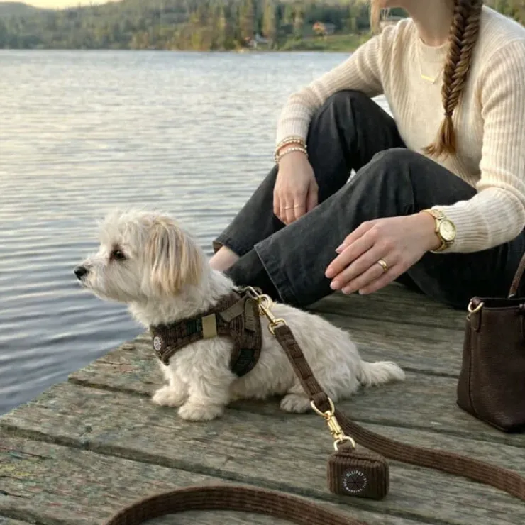 Ollipet For Wagging Tails | Velluto hundepose taske