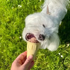 Ollipet FrostSnack Isform | Lav en hundeis
