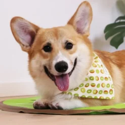 Ollipet Frugt Bandana | OUTLET