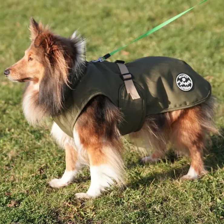 Ollipet Hunting Outdoor Vinterdækken