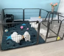 Ollipet hvalpegård i kraftigt hammerlak | 61cm høj