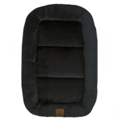 Ollipet Kaya Wellness Madras