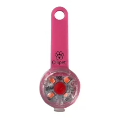 Ollipet LED Light in the dark | Genopladelig