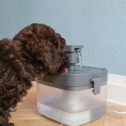 Ollipet Mini Pet Water Fountain