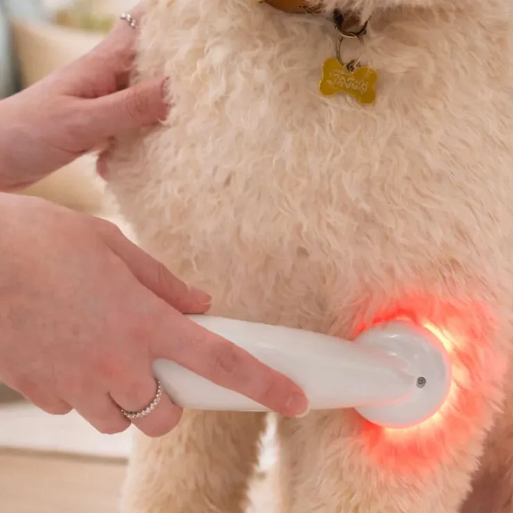 Ollipet Petcare Infrarød Terapilampe | til kæledyr