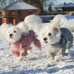 Ollipet Polar Flyverdragt