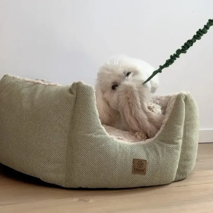 Ollipet Rabbit Tail Bungee | Belønningslegetøj