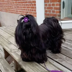 Ollipet Silkeblomst med perle